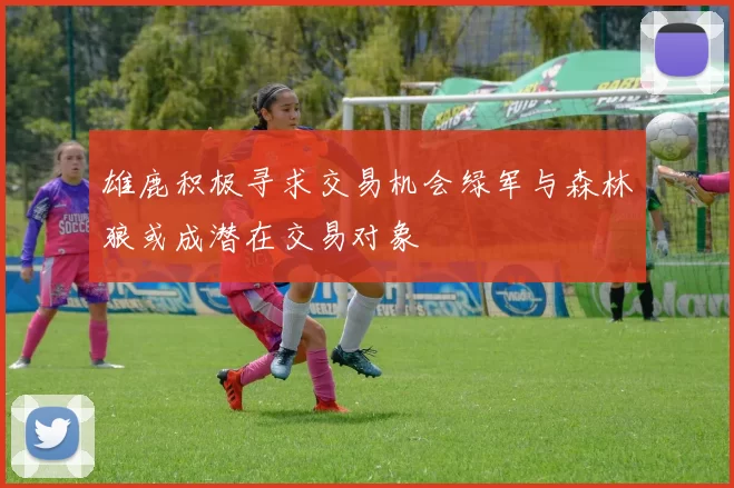 雄鹿积极寻求交易机会绿军与森林狼或成潜在交易对象